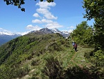 Uno sguardo alle spalle poco prima di rientrare , quasi subito , nel bosco : sdas16